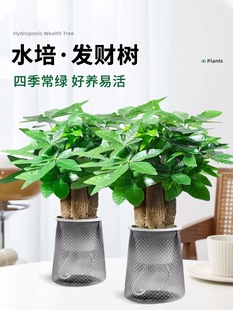 ����ˮ��lؔ��С���Ի����k��������Gֲ�͏d��լ�辰�ļ����B��