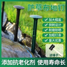 防草布地钉除草布塑料钉子拉枝地膜固定草皮u型丁倒刺园艺地布钉