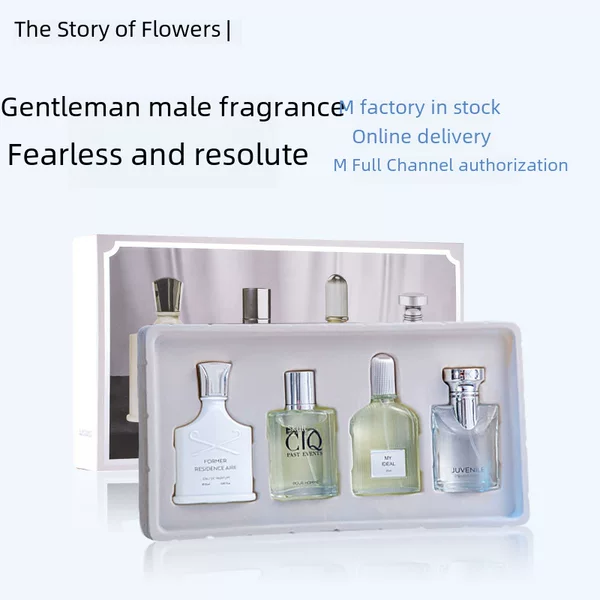 Flower Story Douyin Popular Men's Perfume Set Silver Mountain Spring 25ml Factory Dropshipping