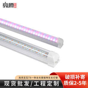 T8ֲ�����L�� ledȫ���V�����a��� ֲ����߲˴���ֲ�����L����