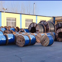 ptyl23�F·��̖��|��о��� 48*1.0���M�M�� 䓎��z�b