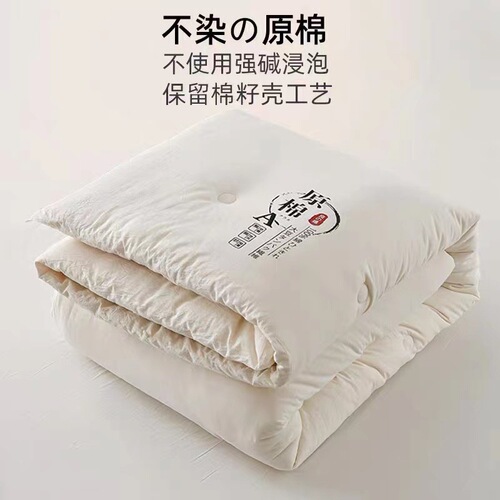 Raw cotton soy fiber quilt winter thickened quilt core quilt summer cool quilt dormitory spring and autumn quilt machine washable gift quilt
