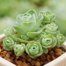 ϵ�оƱ�õ��ɽ��õ��С����ˮ���ҵ������҃ȉ�����Ү�_��������