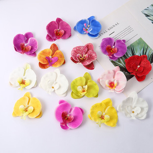 �����^�z�ָк����m���^ �Ҿ��b�c����ֲ��ٻ��ɻ�Y������