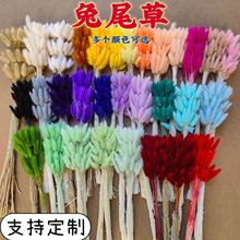 �ɻ���β���������廨�b�diy�����������Դ�^�S�����lֲ��