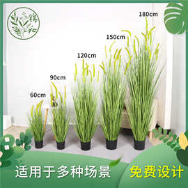 仿真狗尾巴草芦苇草客厅室内盆栽天然蒲苇草装饰蒲草绿植批发摆件