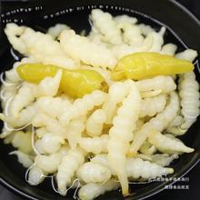 ؑcţζحh200g/ʳʳݲ