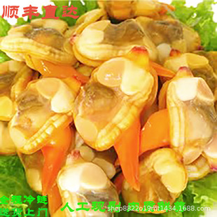 ��S���]�������S͘������S͘�Ӹ���ؐ�������ɟoɳ���r������