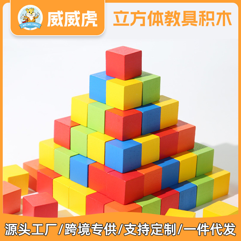 Weiweihu Bloques de construcción de bloques para niños, tres vistas, pensamiento espacial, ayudas didácticas cognitivas, juguetes educativos de ensamblaje de haya