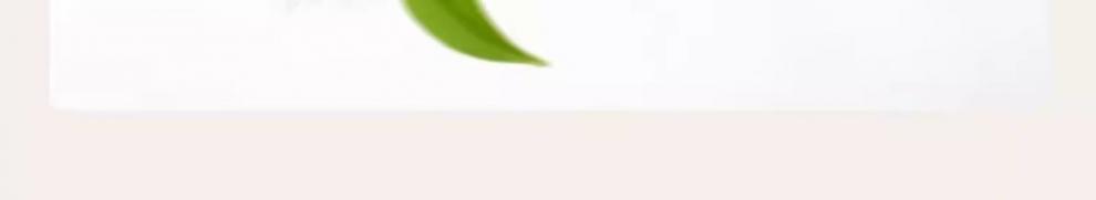 b00c5a91-7a01-44c0-90f9-ddcc4b020333.jpe