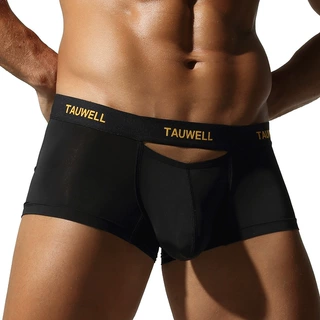 TAUWELL特为男士内裤舒适冰凉锦纶薄款性感半透男士平角裤U凸囊袋
