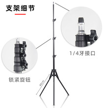 1.6�׷���ĥɰ֧���֙Cƽ��ֲ�����؟�������ֱ���a������_��