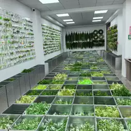 仿真绿植;仿真花;仿真藤条