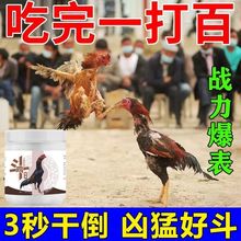 【一吃五连胜】斗鸡用品斗鸡料斗鸡饲料斗鸡丸绝杀鬼子斗鸡打料