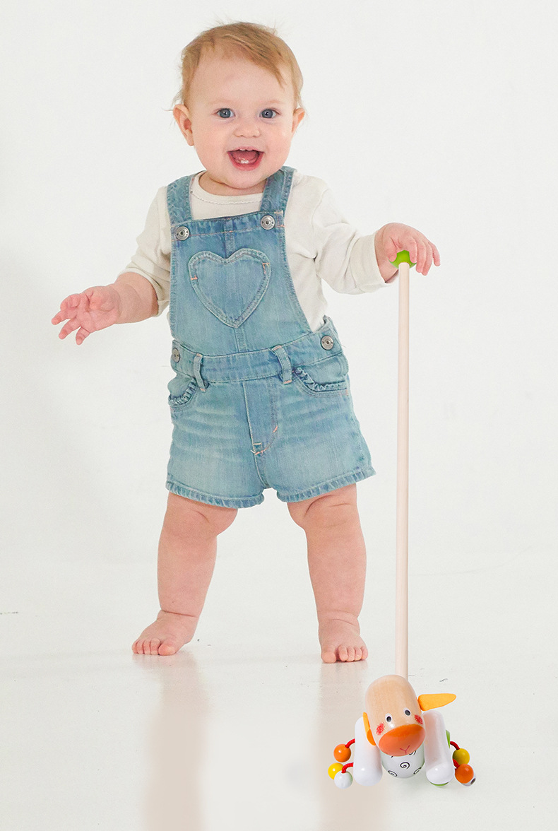 Stylish Wooden Push Toy