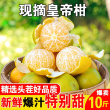 正宗广西皇帝柑新鲜橘子现摘现发水果清香贡柑整箱薄皮3/9斤包邮