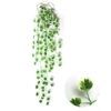 White Bian Begonia Leaf