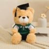 Shallow bear green clothes