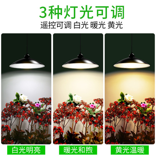 Yinglang solar street light chandelier courtyard garden villa pavilion lighting high brightness retro hanging light