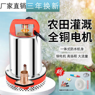 Dc Submersible Pump 12V Water Pump 24V48V60V Household Battery Car Small Electric Vehicle Agricultural Water Pump