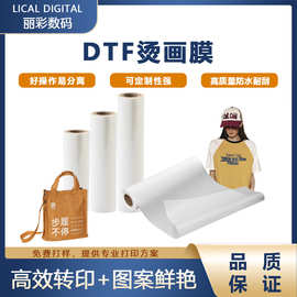 现货速发高品质A1单面DTF膜 冷热撕双面烫画膜 色彩鲜艳抖粉均匀