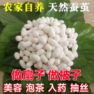 �r�����B��Ȼ�Q�O�����ɳ�z������������diy�p�m���Q�O��ș����