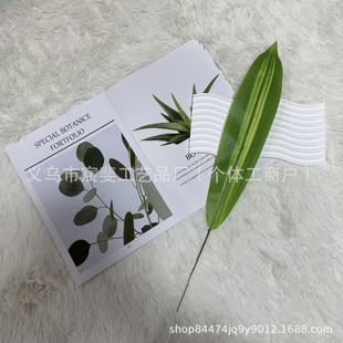 �S��ֱ�N������̖�����~���滨�~�Ƶ��b��~�廨�Gֲֲ����