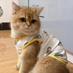 猫服の毛落ち防止夏の薄い英米の短い青い猫のぬいぐるみ猫の小型犬のテディ犬の夏のベスト