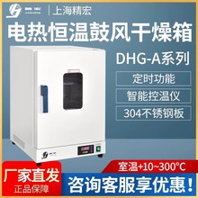 �Ϻ�����DHG-9076A�a�ظ�����300��늟�a�ع��L�����䌍��Ҹ���