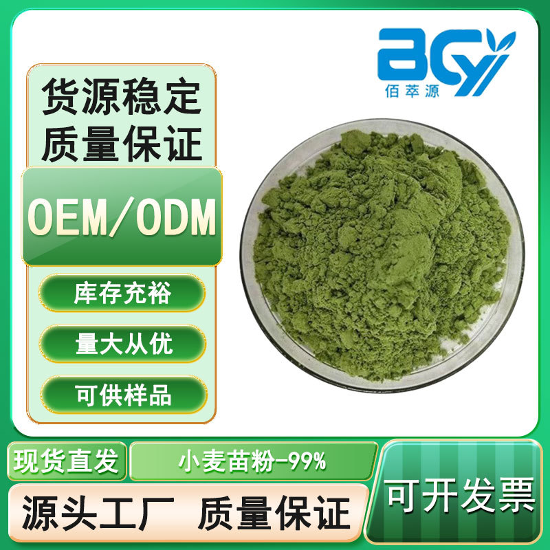 小麦苗粉 小麦苗汁粉 水溶性好 喷雾干燥 麦苗粉 固体饮料专用