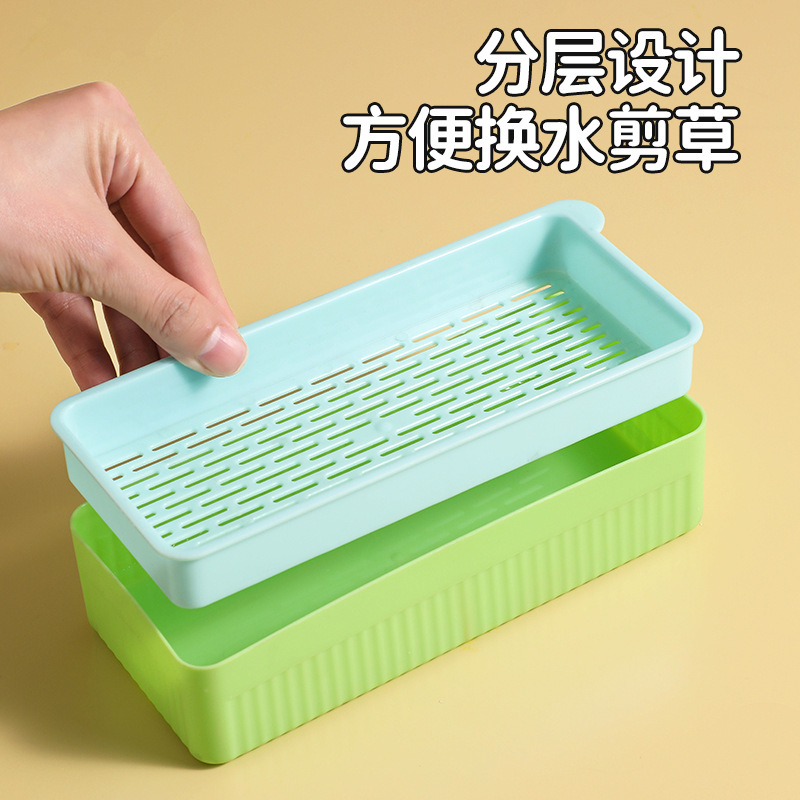 跨境寵物貓草種植盒無土栽培貓草套裝貓咪零食水培種草寵物用品