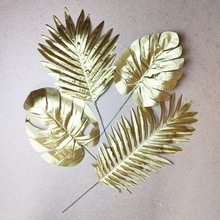 �����ɫ�~�������~�ȼ��������� ��c��������b��ý�ɫ�~��