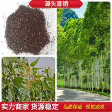 ��ľ�N���������N��β�����С�~���N�ӹ��@�G���е����{���