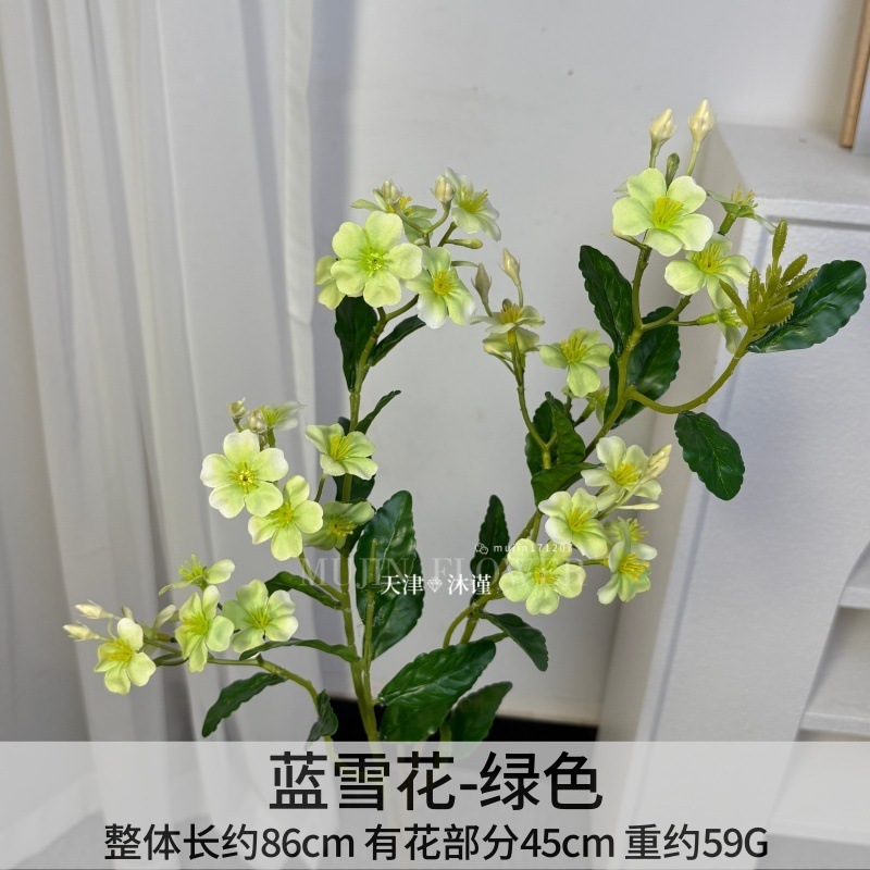 푸른 눈꽃