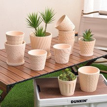 ���WINS�����؟������մ�͸����⻨��Gֲ���s���ԾG�}��DIY�S��