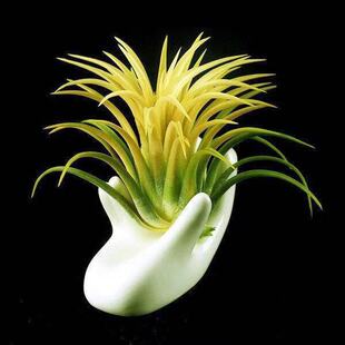 �՚��P��o��ֲ�����ֲ���S�����S���k�������ԟo���B�Sһ�����l