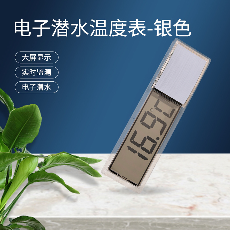 External Silver Thermometer