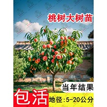 �ش��Ҙ������޽�ˮ�����������Ե����ϱ����ļ��NֲͥԺ����