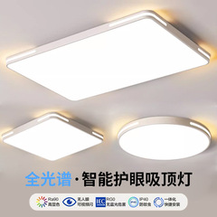フルスペクトル LED シーリングランプ目の保護リビングルームランプラウンドベッドルームランプレストランバルコニーシンプルモダン中山ランプ