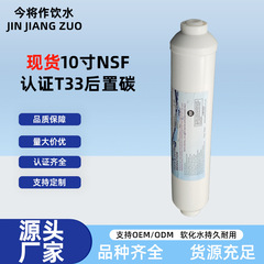 台湾省輸入10インチNSF認証食感後置炭素T33エレメント酸洗ココナツ殻炭エレメント