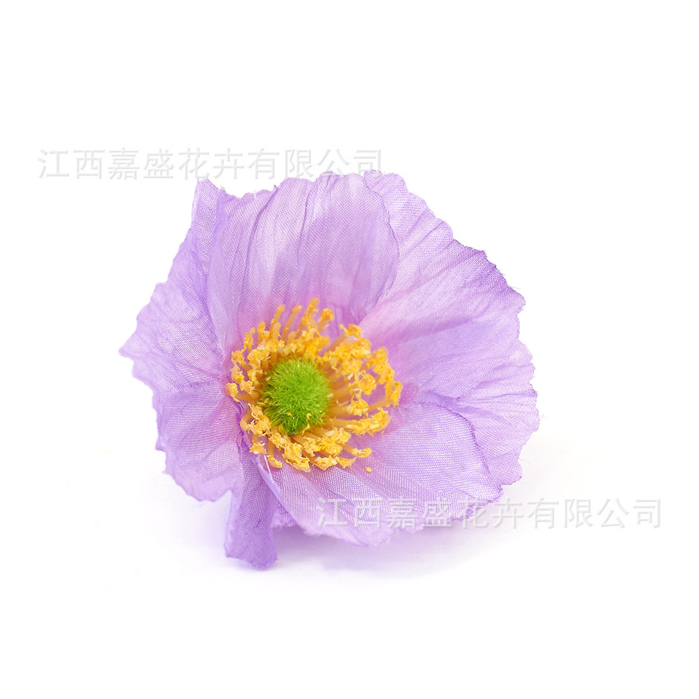 보라
