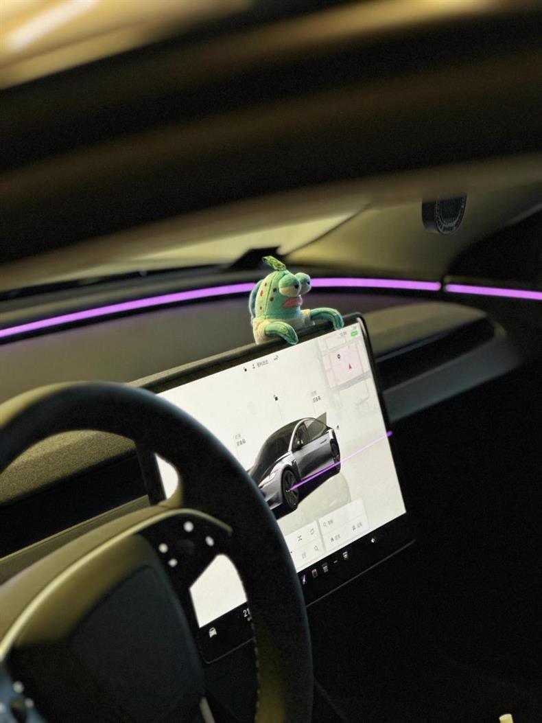 Car Center Console Screen Ornaments Bicchibao Residents Cool Fish Stylish Creative High-End Rearview Mirror Pendant