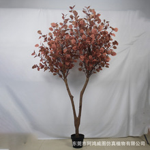 �����ȼ�����پGֲ�[�����Rֲ�����Կ͏d����b��R��ľ�߷���