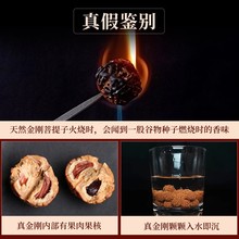 树王爆肉小金刚设计手持菩提子手串男士盘玩手链单圈核桃文玩佛珠