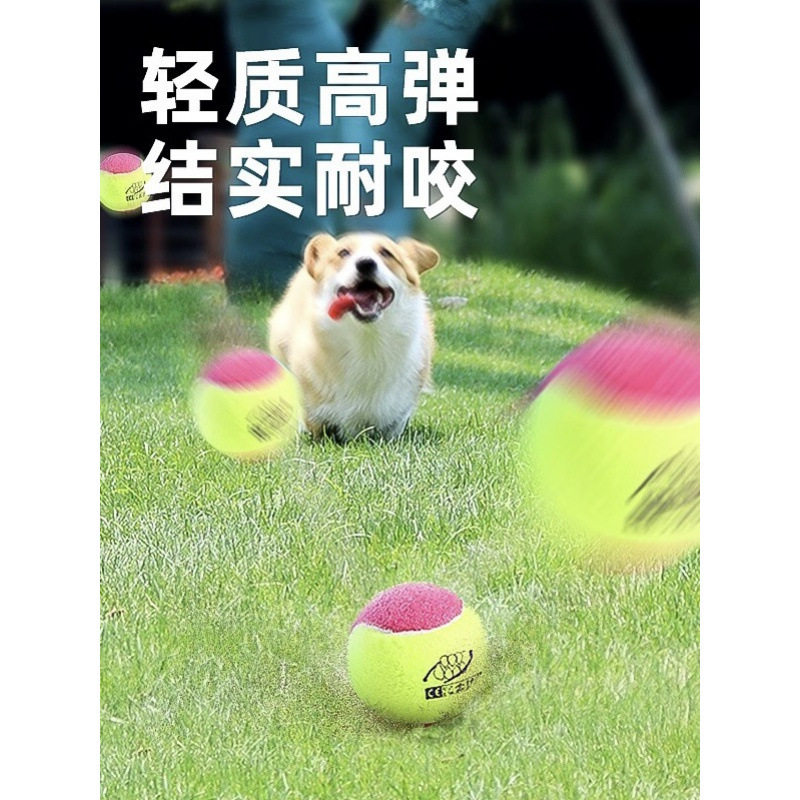 Pet Tennis Ball Dog Toy Ball Self-Entertainment Boredom-Relief Gadget for Border Collie, Golden Retriever, Corgi, Durable Chew Ball Training Teething Export