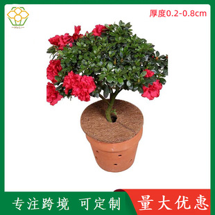 Round Coconut Palm Mat Flat Mat Multi-size Sized Flower Pot Mat Tight Anti-grass Coconut Mat