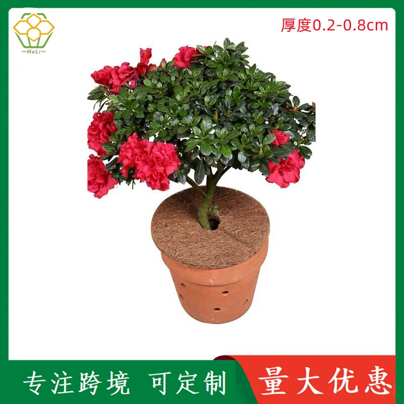 Круглый коврик для кокосовой пальмы Плоский коврик Многоразмерный коврик для цветочного горшка Плотный коврик с защитой от травы