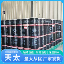 ƻSBSˮ ͸̸Ԟr픷ˮďS