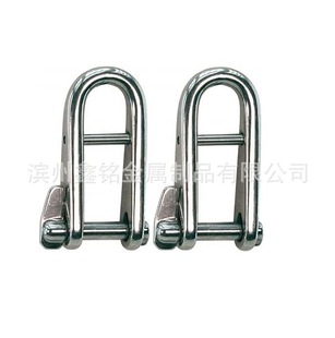 Stainless steel 316 with gear key pin shackle D-shaped shackle U-shaped buckle marine hardware cross-border supply