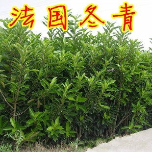 ��������G�h���糣�GͥԺ����ɺ���䶬�������ļ���G���T�Nֲ